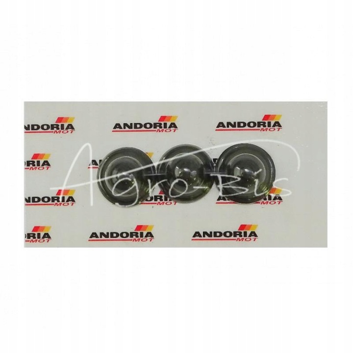 SEMELLE LEVIERS ADHÉRENCE 3 PCS URSUS C360 POLOGNE ANDORIA