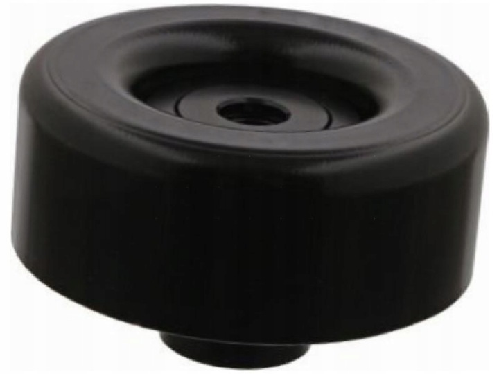 GALET COURROIE MICRO-V PORSCHE BOXSTER 986 96-/987 04-/CAYMAN 987 05-
