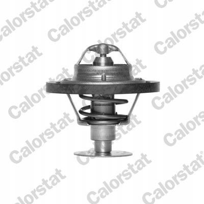 THERMOSTAT CALORSTAT 4409254 43558460 0