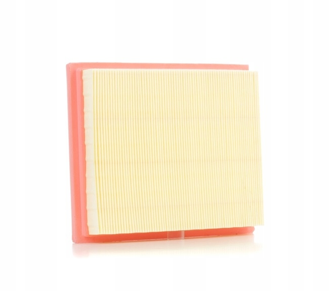 RIDEX 8A0043 FILTRE AIR