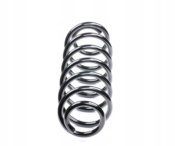 RESSORT SUSPENSIONS RIDEX ARRIÈRE VERS VW GOLF IV BERLINE COMPACTE (1J1) 188C0004