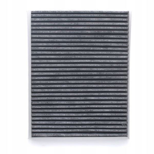 RIDEX 424I0203 FILTRE VENTILATION ESPACES PASAZERSKIEJ FILTRE AVEC WEGLEM