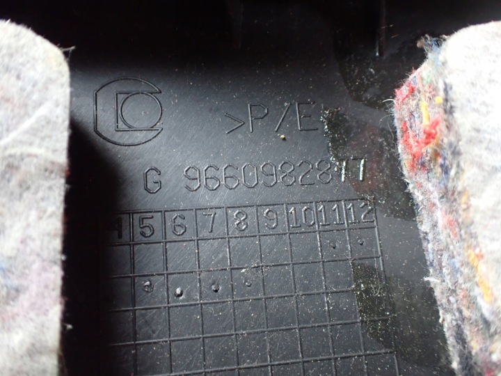 PROTECTION MONTANTS GAUCHE ARRIÈRE CITROEN C5 9660982877 12065