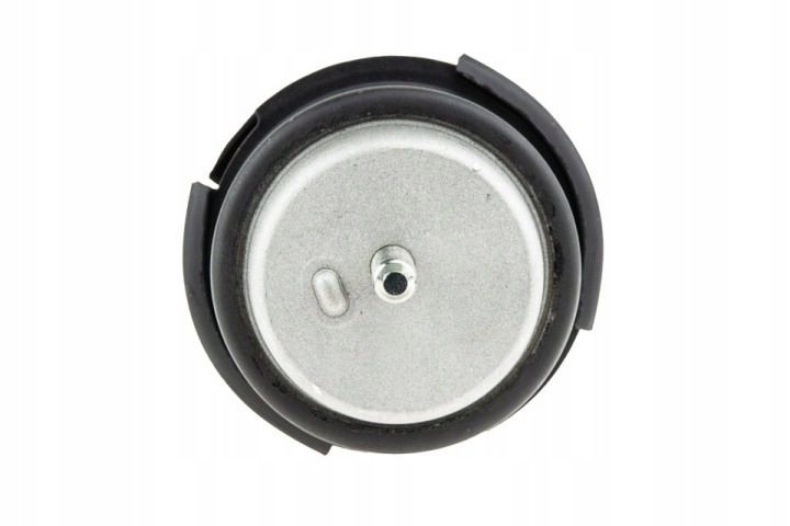 COUSSIN MOTEUR AVANT INFINITI G35 V36 06-