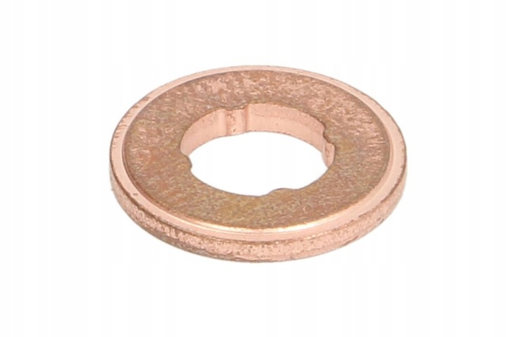 BAGUE D'ÉTANCHÉITÉ F 00R J01 086 F 00R J01 086