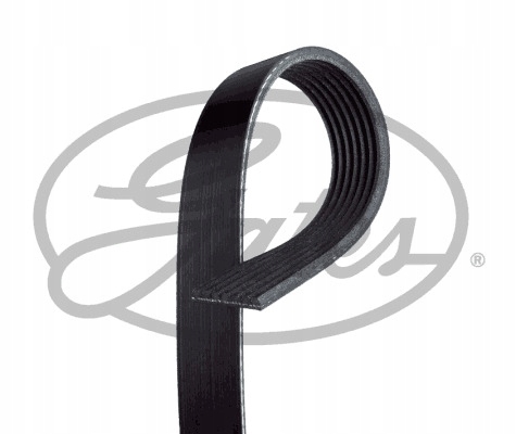 COURROIE MULTICANAL (7PK1770) GATES