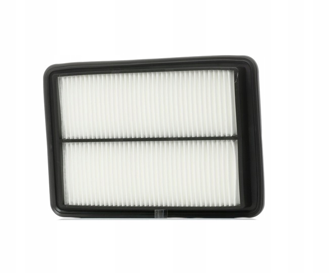 RIDEX 8A0461 FILTRE AIR