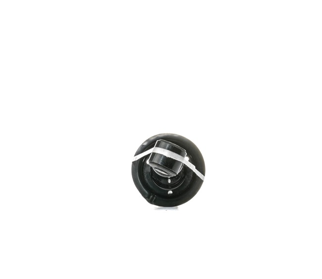 2 CV RIDEX 854S0485 AMORTISSEUR GAZEUX ENTRETOISE SUSPENSIONS ARRIÈRE