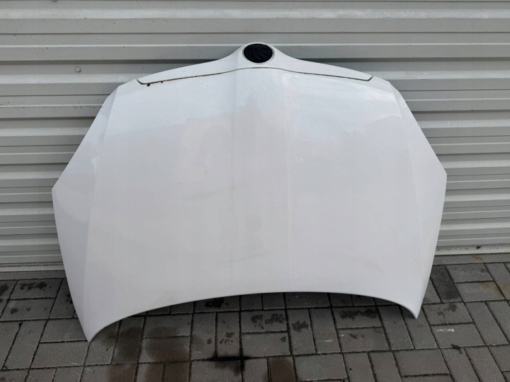 CAPOT COUVERCLE MOTEUR SKODA FABIA II 5J0 1026 EUROPE