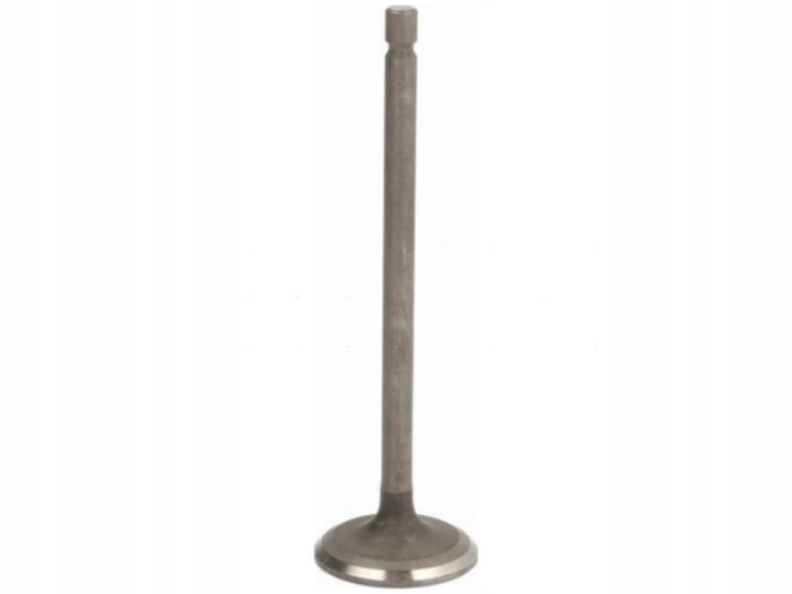 SOUPAPE ADMISSION FRECCIA R6700/RNT