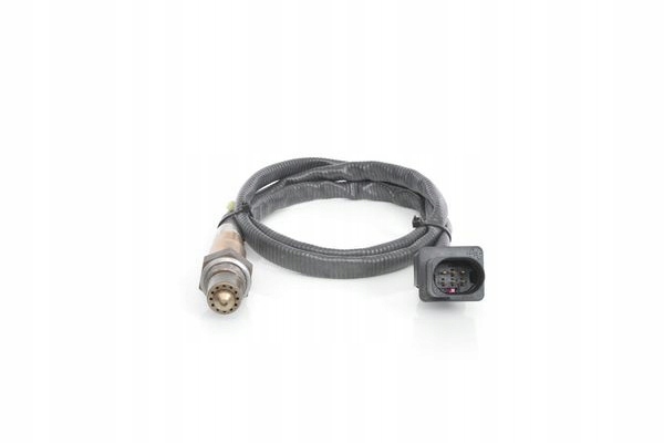 SONDE LAMBDA MAN HOCL, LION AVEC INTERCITY, LIONÂ´S C