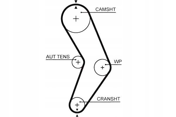 COURROIE DE DISTRIBUTION