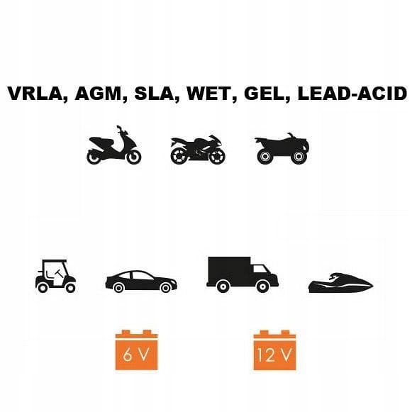 2 CV CHARGEUR CHARGEUR VERS BATTERIE 6/12V AGM GEL
