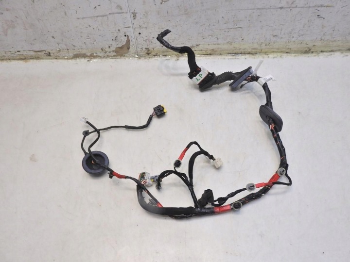 FAISCEAU DE CÂBLES INSTALLATION ÉLECTRIQUE PORTES GAUCHE AVANT HYUNDAI SANTA FE II 916002B200