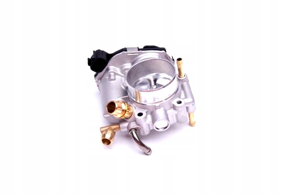 PAPILLON DES GAZ AIR ESEN SKV 12SKV074 55577375 CHEVROLET CRUZE OPEL ASTR