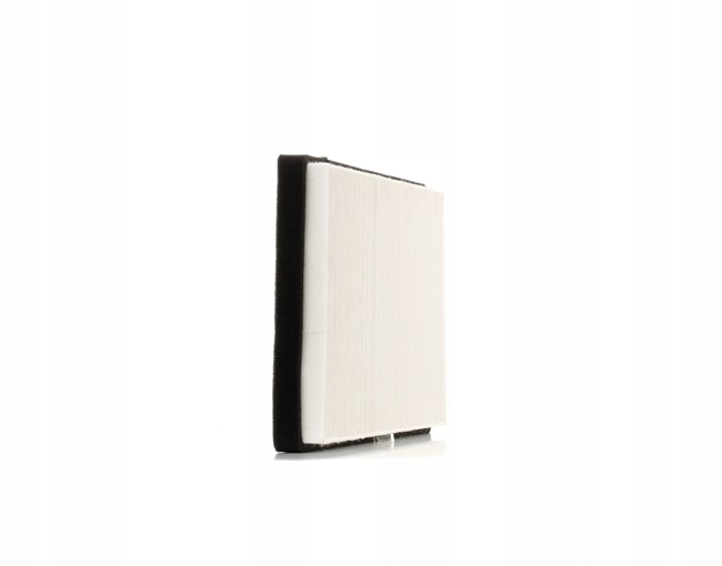 STARK SKIF-0170072 FILTRE VENTILATION ESPACES PASAZERSKIEJ FILTRE PARTICULES