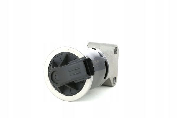 VANNE EGR RIDEX 1145E0079 VERS CHEVROLET AVEO KALOS BERLINE COMPACTE (T200)