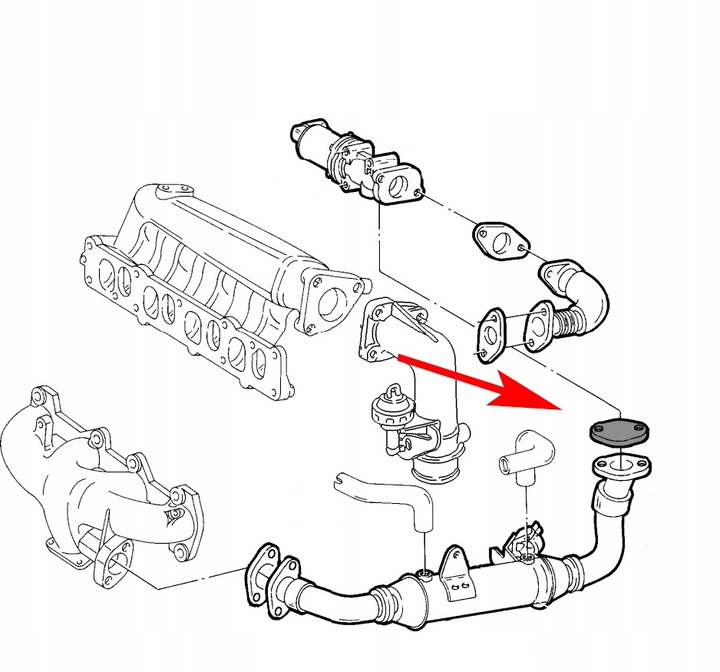 AT-EGR-003/B/9 003 BRIDA CIEGA EGR FIAT ALFA LANCIA JTD 1.9 8V 2.4 