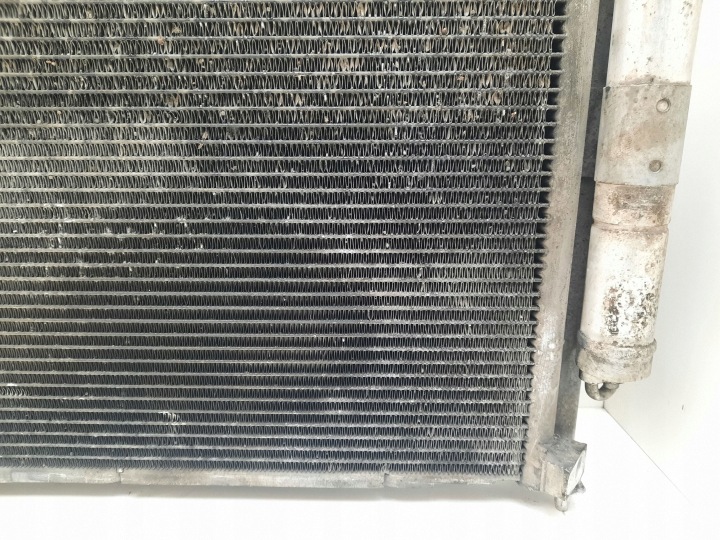 RENAULT CLIO III 1.5DCI RADIATEUR EAU VENTILATEUR 8200966248