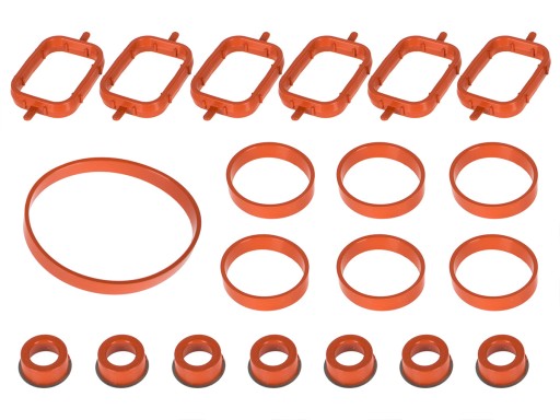 COMPACTADORES DE COLECTOR DE ADMISIÓN PARA BMW M57 6CYL DIESEL 