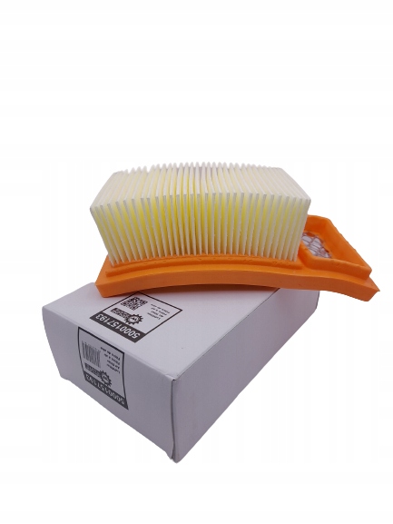 FILTRE AIR BS DS 5000157193 0157193