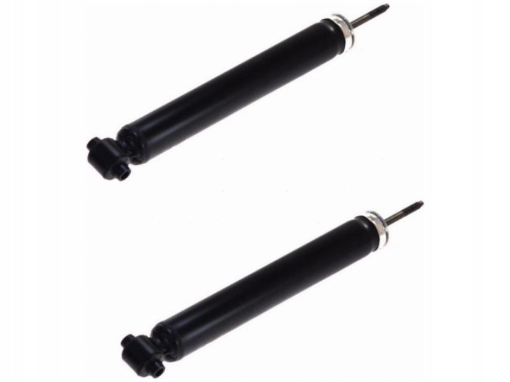 AMORTISSEURS ARRIÈRE MONROE R6653