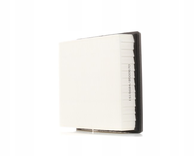 RIDEX 8A0025 FILTRE AIR