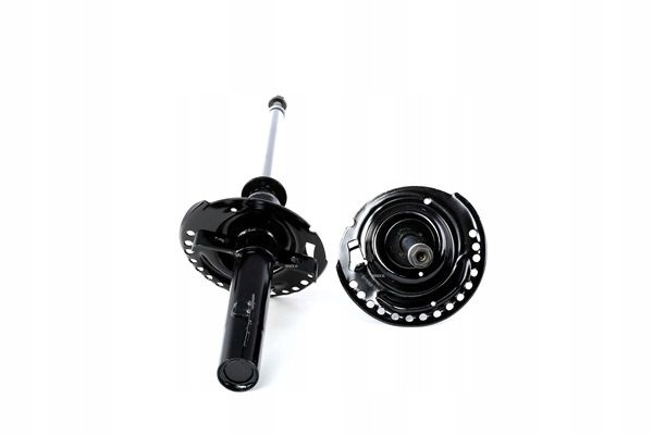 RIDEX 854S1068 AMORTISSEUR