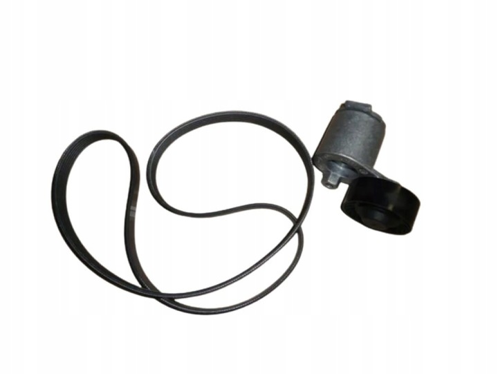 KIT COURROIE TENDEUR 1.5 DCI RENAULT 117202506R