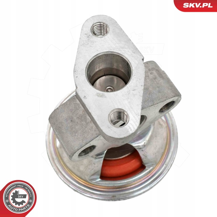 SOUPAPE AGR ESEN SKV 14SKV262