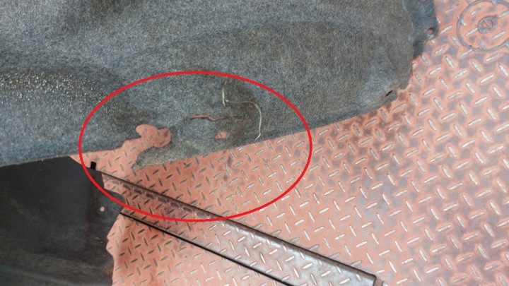 PASSAGE DE ROUE DROIT AVANT TOYOTA RAV4 V 18-