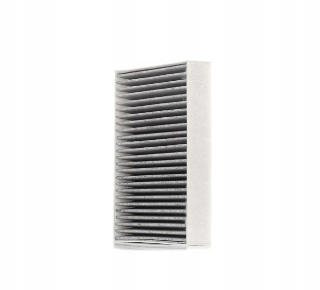 RIDEX 424I0197 FILTRE VENTILATION ESPACES PASAZERSKIEJ VERS CITROËN DS3