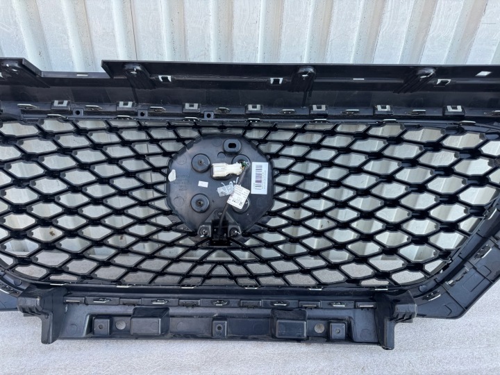 MG ZS GRILLE CALANDRE RADIATEUR CAMÉRA 10021164