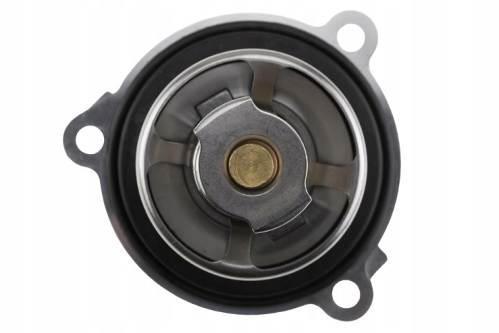 THERMOSTAT PORSCHE 718 BOXSTER 982 2.0T CAYMAN 982 911 991 CAYMAN 987