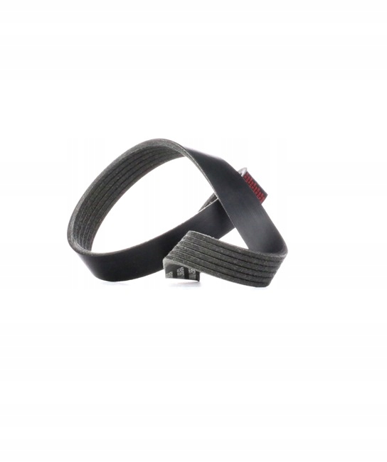RIDEX 305P0194 COURROIE EN V MULTICANAL VERS VW GOLF V SCHRÄGHECK (1K1)