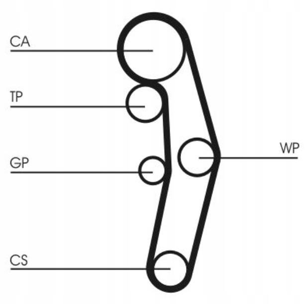 CONTI DISTRIBUTION POMPE VW GOLF V PLUS PASSAT B6 1.9TDI 105KM