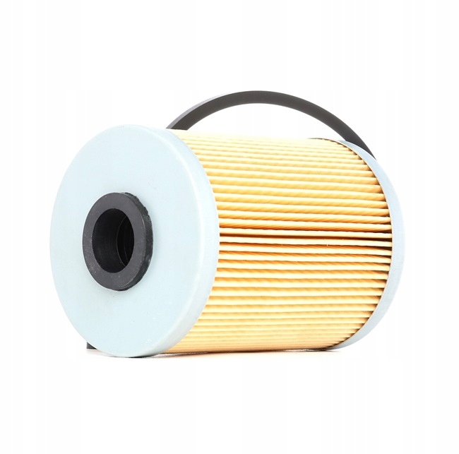 RIDEX 9F0019 FILTRE CARBURANTS