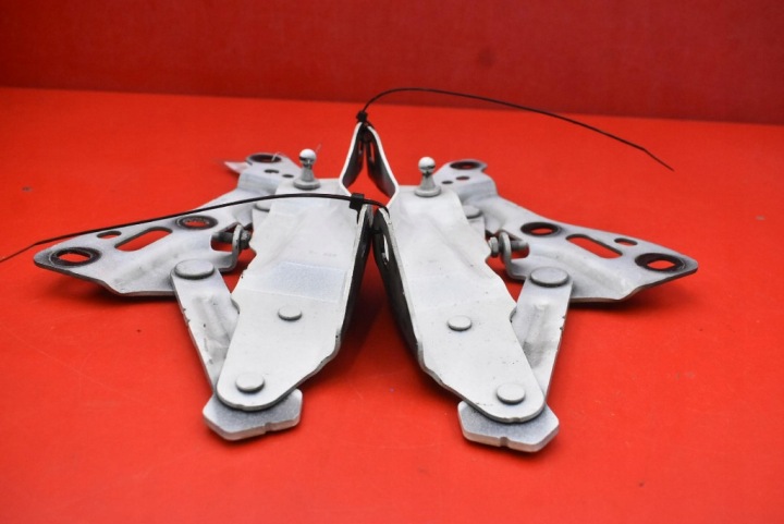 CHARNIÈRE CHARNIÈRES CAPOTS 1058041 TESLA MODÈLE X 90D 15-21