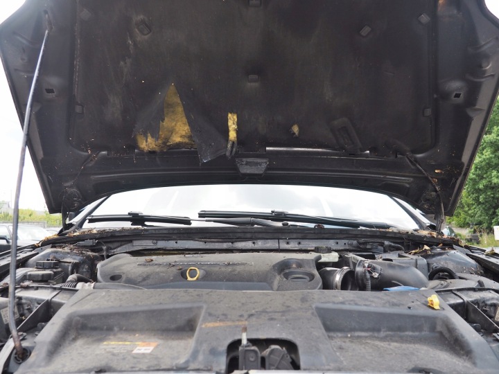 FORD MONDEO 2,2 D CAPOT COUVERCLE MOTEUR COULEUR G6 EN BON ÉTAT