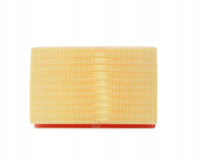 RIDEX 8A0311 FILTRE AIR