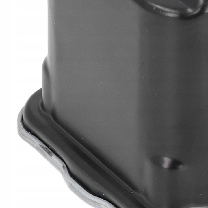 FILTRE CARBURANTS P556745 GLASS FIBRE SQUARE NOIR WYMIENCA POUR DUZYCH B7