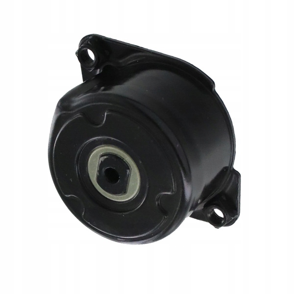 GALET COURROIE POLYWEDGE BMW E46/E60/E91 SKF VKM38304
