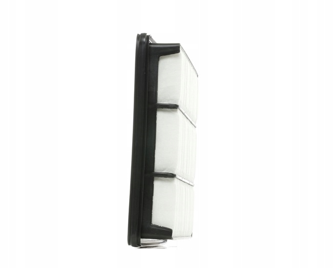 RIDEX 8A0165 FILTRE AIR