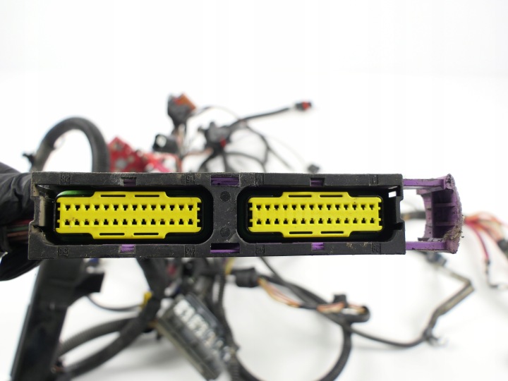 FAISCEAU DE CÂBLES INSTALLATION ÉLECTRIQUE ÉLECTRIQUE MOTEUR UPC SCENIC II 1.6 16V K4M 761