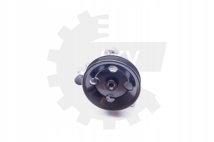 ESEN SKV 10SKV124 POMPE