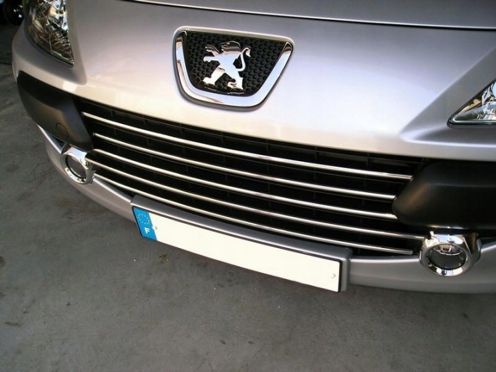 PEUGEOT 307 LIFT SW HAYON BAGUETTES CHROME SUR GRILLE CALANDRE TUNING DÉCORATIF 5 PCS