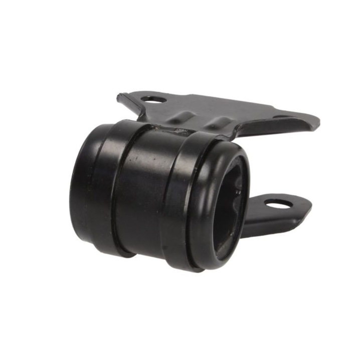 DELPHI TD1641W LOZYSKOWANIE, BRAS DE SUSPENSION