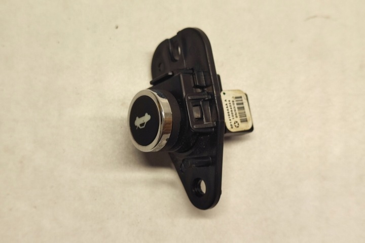 BOUTON OUVERTURE COUVERCLES DE COFFRE COUVERCLES DE COFFRE DODGE CHARGER 68141864AA 6.4L GASOLINE