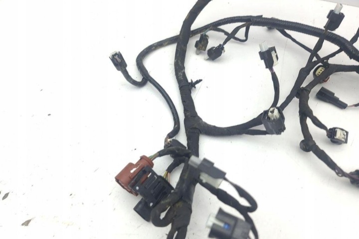 FAISCEAU DE CÂBLES MOTEUR FORD KUGA II (DM2) LX6T14B060 1.5L GASOLINE 2022