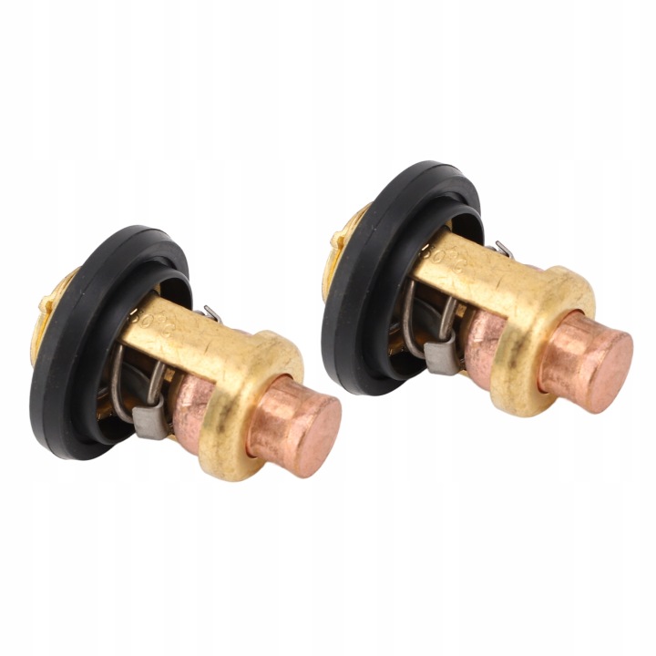 2 PCS THERMOSTAT VERS MOTEUR HORS-BORD 6E5 12411 30 00 NIEZAWODNA ODPORNOSC SUR CIEPLO